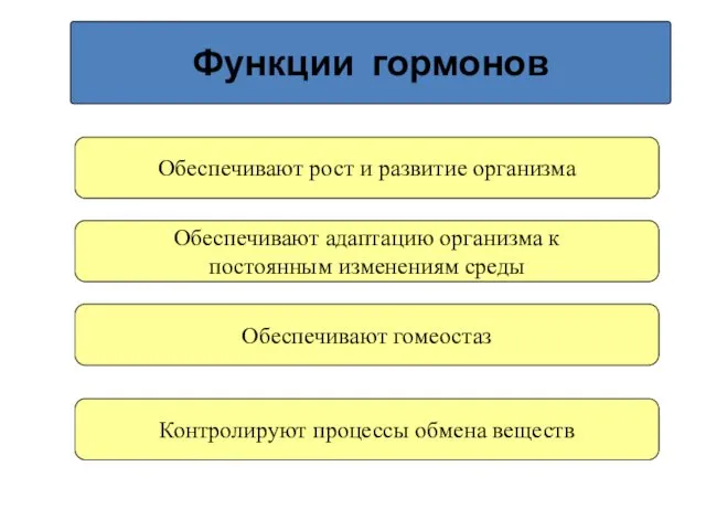 Функции гормонов Обеспечивают рост и развитие организма Обеспечивают адаптацию организма к