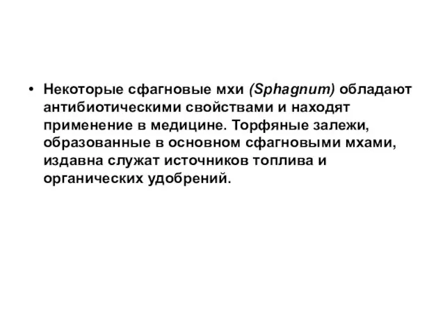 Некоторые сфагновые мхи (Sphagnum) обладают антибиотическими свойствами и находят применение в