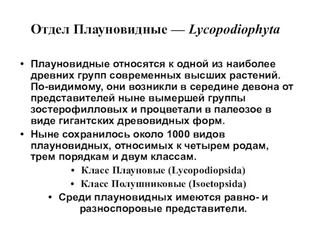 Отдел Плауновидные — Lycopodiophyta Плауновидные относятся к одной из наиболее древних