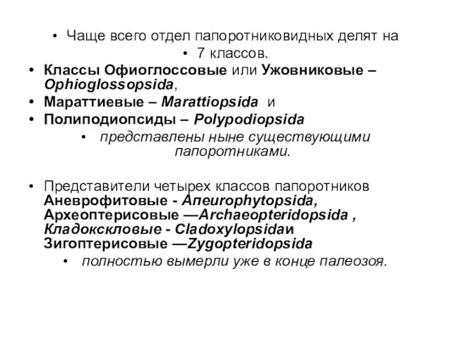 Чаще всего отдел папоротниковидных делят на 7 классов. Классы Офиоглоссовые или