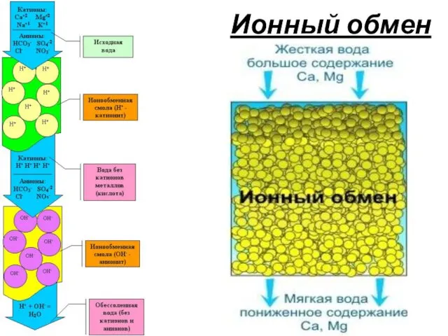 Ионный обмен