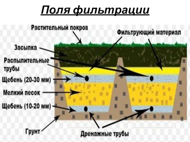 Поля фильтрации