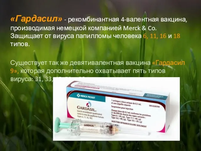 «Гардасил» - рекомбинантная 4-валентная вакцина, производимая немецкой компанией Merck & Co.
