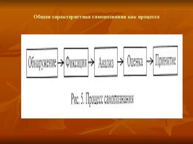 Общая характеристика самопознания как процесса