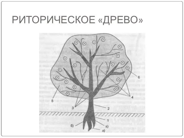 РИТОРИЧЕСКОЕ «ДРЕВО»