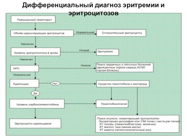 Дифференциальный диагноз эритремии и эритроцитозов