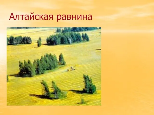 Алтайская равнина