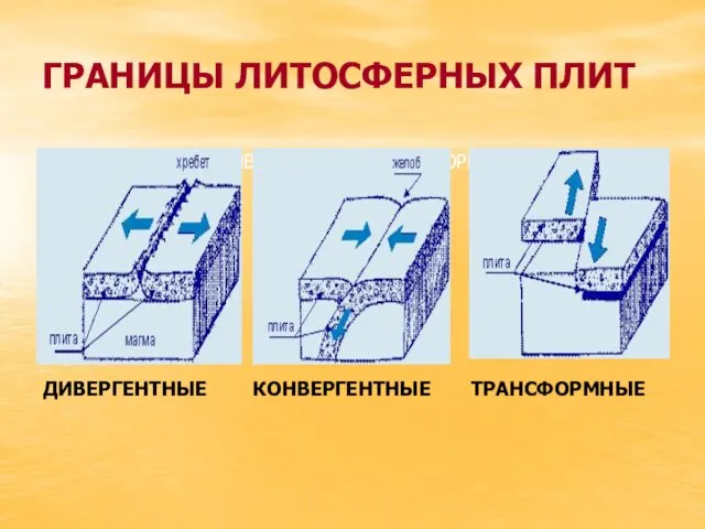 ГРАНИЦЫ ЛИТОСФЕРНЫХ ПЛИТ ДИВЕРГЕНТНЫЕ КОНВЕРГЕНТНЫЕ ТРАНСФОРМНЫЕ ДИВЕРГЕНТНЫЕ КОНВЕРГЕНТНЫЕ ТРАНСФОРМНЫЕ