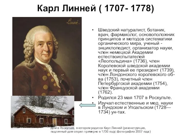 Карл Линней ( 1707- 1778) Шведский натуралист, ботаник, врач, фармаколог, основоположник