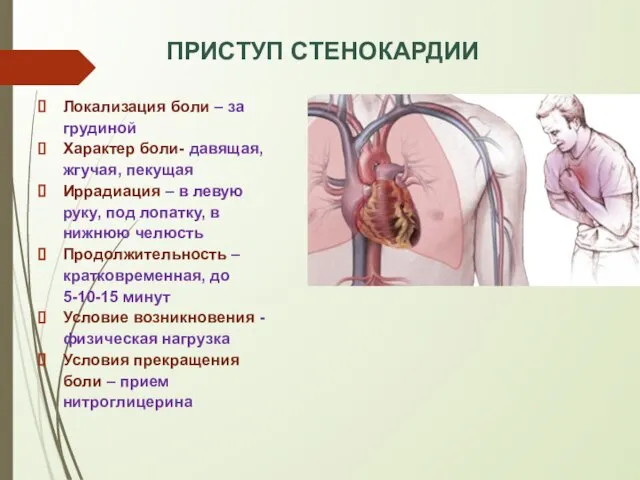 ПРИСТУП СТЕНОКАРДИИ Локализация боли – за грудиной Характер боли- давящая, жгучая,