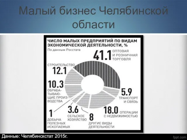 Малый бизнес Челябинской области Данные: Челябинскстат 2015г.