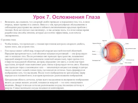 Урок 7. Осложнения Глаза Возможно, вы слышали, что сахарный диабет приводит