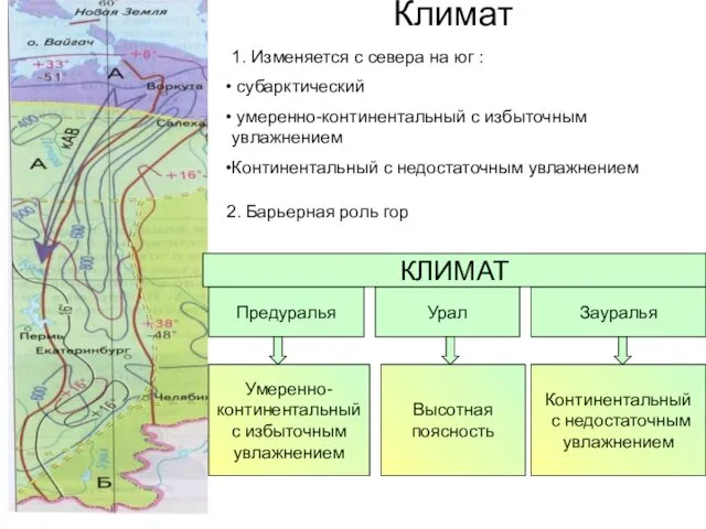 Климат Предуралья Урал Зауралья Умеренно- континентальный с избыточным увлажнением Высотная поясность