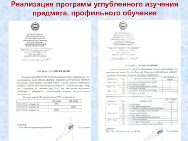 Реализация программ углубленного изучения предмета, профильного обучения