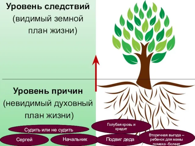 Уровень следствий (видимый земной план жизни) Уровень причин (невидимый духовный план