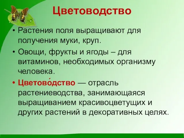 Цветоводство Растения поля выращивают для получения муки, круп. Овощи, фрукты и