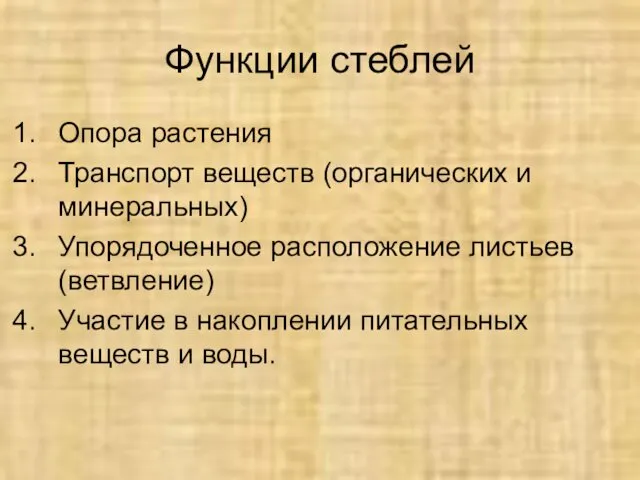 Функции стеблей Опора растения Транспорт веществ (органических и минеральных) Упорядоченное расположение