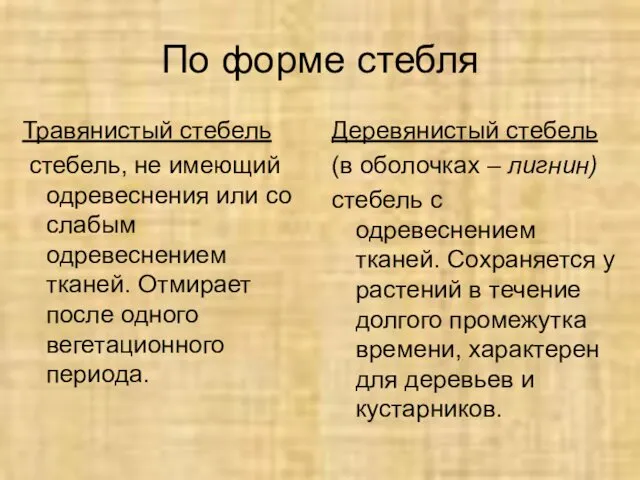 По форме стебля Травянистый стебель стебель, не имеющий одревеснения или со