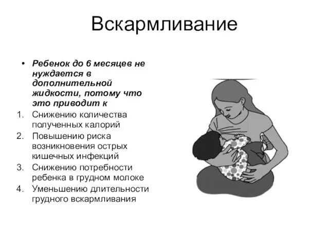 Вскармливание Ребенок до 6 месяцев не нуждается в дополнительной жидкости, потому