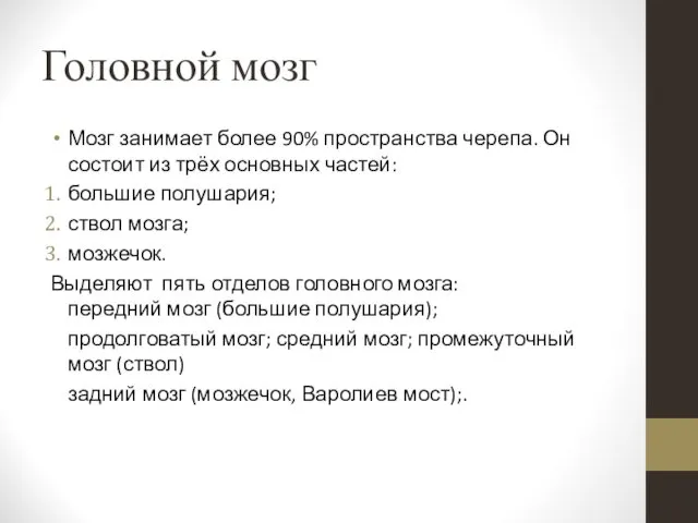 Головной мозг Мозг занимает более 90% пространства черепа. Он состоит из