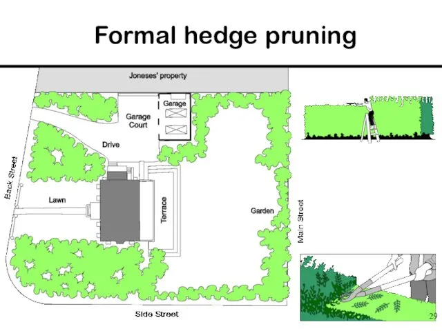 Formal hedge pruning