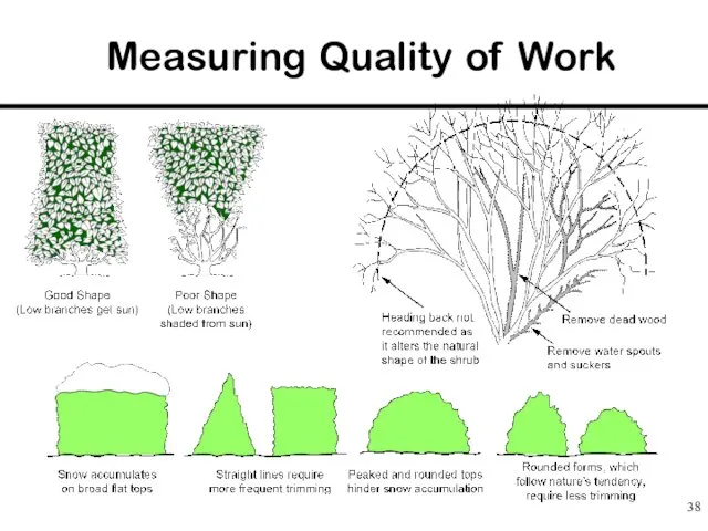 Measuring Quality of Work