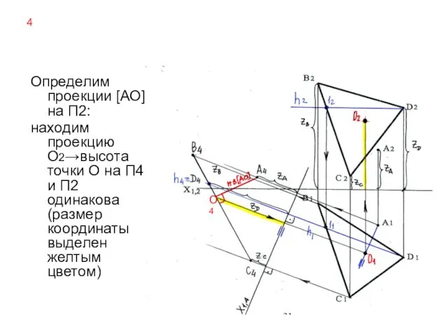 4 Определим проекции [АО] на П2: находим проекцию О2→высота точки О