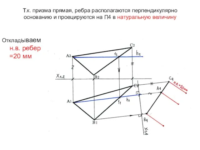 Т.к. призма прямая, ребра располагаются перпендикулярно основанию и проецируются на П4