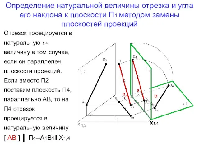 Определение натуральной величины отрезка и угла его наклона к плоскости П1