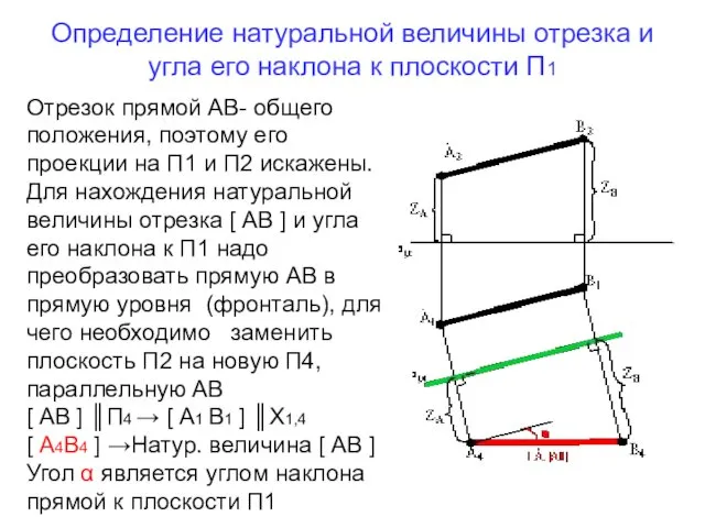 Определение натуральной величины отрезка и угла его наклона к плоскости П1