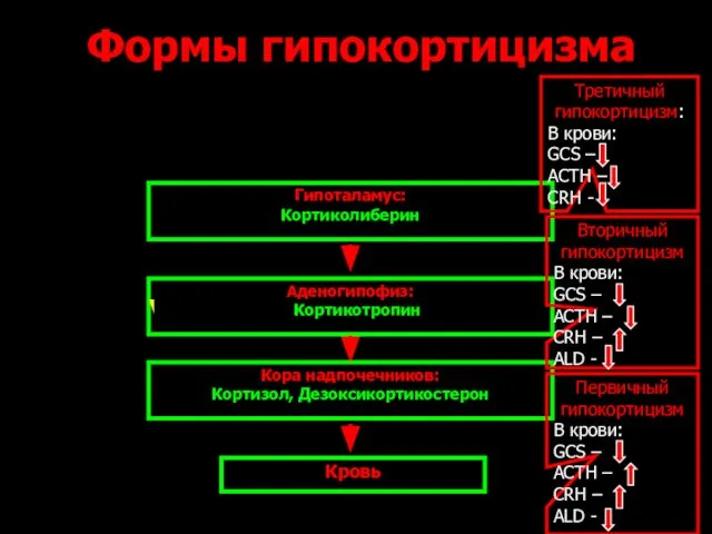 Формы гипокортицизма Гипоталамус: Кортиколиберин Кора надпочечников: Кортизол, Дезоксикортикостерон Аденогипофиз: Кортикотропин Кровь