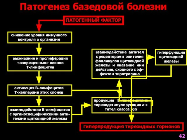 Патогенез базедовой болезни ПАТОГЕННЫЙ ФАКТОР снижение уровня иммунного контроля в организме