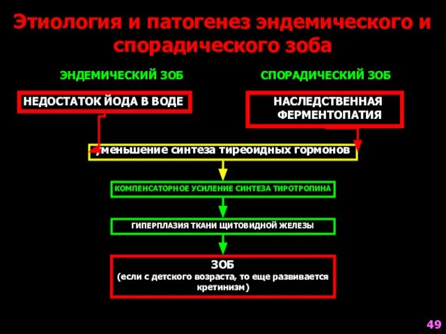 Этиология и патогенез эндемического и спорадического зоба ЭНДЕМИЧЕСКИЙ ЗОБ СПОРАДИЧЕСКИЙ ЗОБ