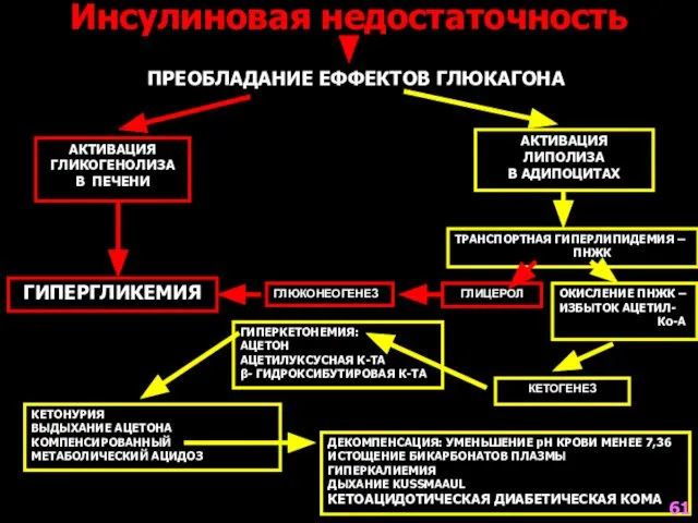 Инсулиновая недостаточность АКТИВАЦИЯ ГЛИКОГЕНОЛИЗА В ПЕЧЕНИ АКТИВАЦИЯ ЛИПОЛИЗА В АДИПОЦИТАХ ПРЕОБЛАДАНИЕ