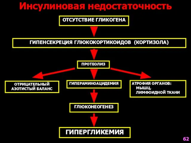 ГИПЕНСЕКРЕЦИЯ ГЛЮКОКОРТИКОИДОВ (КОРТИЗОЛА) ГИПЕРАМИНОАЦИДЕМИЯ ПРОТЕОЛИЗ ОТРИЦАТЕЛЬНЫЙ АЗОТИСТЫЙ БАЛАНС ГЛЮКОНЕОГЕНЕЗ АТРОФИЯ ОРГАНОВ: