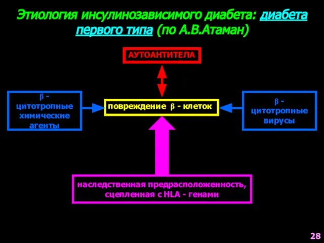 β - цитотропные химические агенты Этиология инсулинозависимого диабета: диабета первого типа