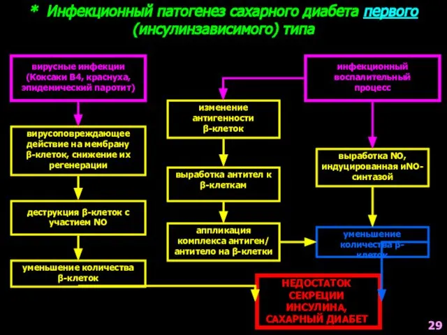 * Инфекционный патогенез сахарного диабета первого (инсулинзависимого) типа вирусные инфекции (Коксаки