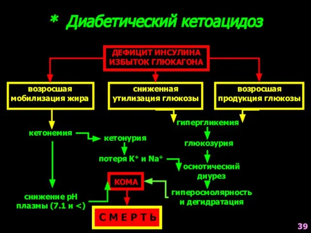 * Диабетический кетоацидоз ДЕФИЦИТ ИНСУЛИНА ИЗБЫТОК ГЛЮКАГОНА возросшая мобилизация жира сниженная