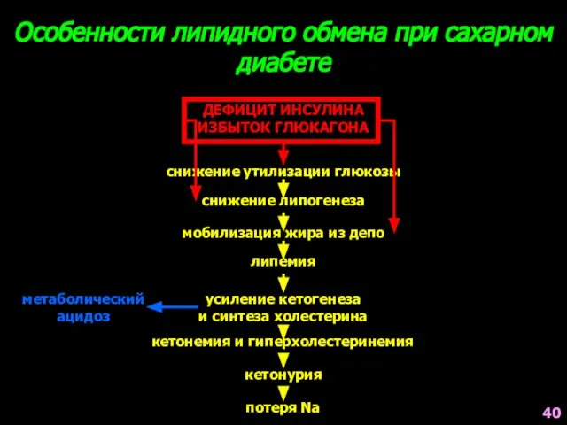 Особенности липидного обмена при сахарном диабете ДЕФИЦИТ ИНСУЛИНА ИЗБЫТОК ГЛЮКАГОНА снижение