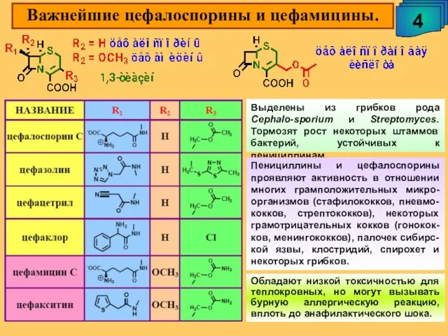 Важнейшие цефалоспорины и цефамицины. 4 Выделены из грибков рода Cephalo-sporium и