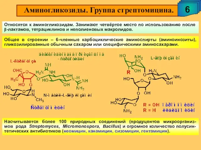 Аминогликозиды. Группа стрептомицина. 6 Относятся к аминогликозидам. Занимают четвёртое место по