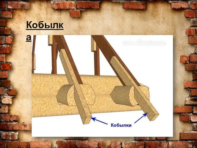 Кобылка