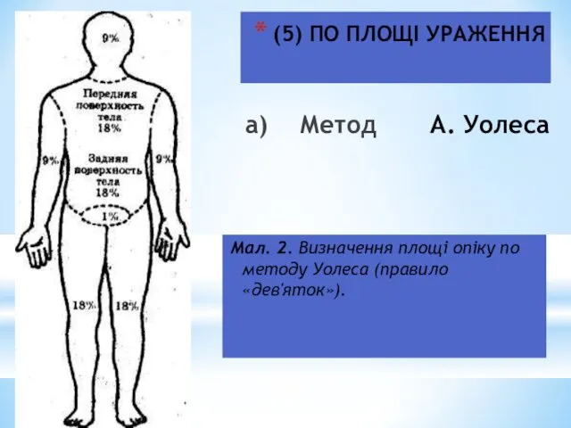 (5) ПО ПЛОЩІ УРАЖЕННЯ Мал. 2. Визначення площі опіку по методу