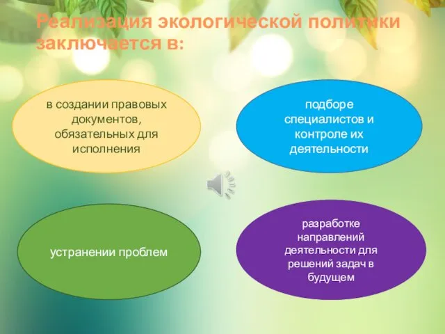 Реализация экологической политики заключается в: в создании правовых документов, обязательных для