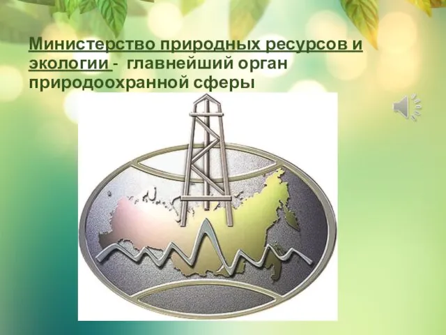 Министерство природных ресурсов и экологии - главнейший орган природоохранной сферы