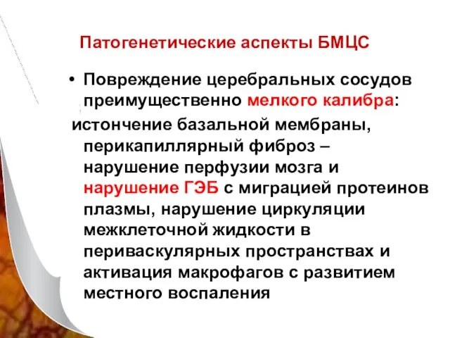 Патогенетические аспекты БМЦС Повреждение церебральных сосудов преимущественно мелкого калибра: истончение базальной