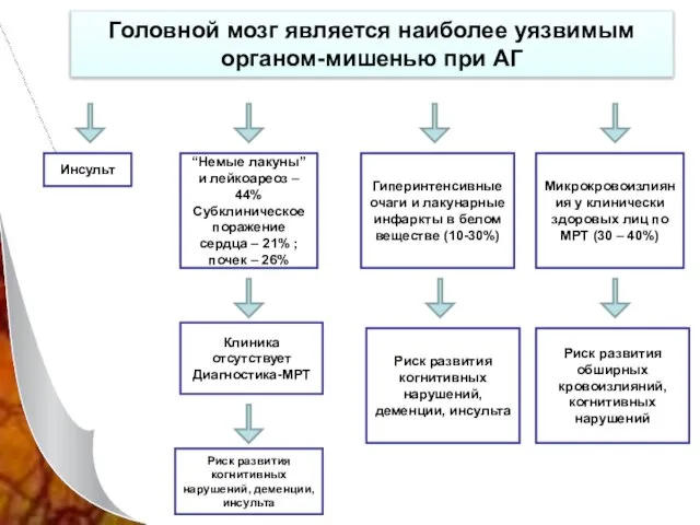 Головной мозг является наиболее уязвимым органом-мишенью при АГ Инсульт “Немые лакуны”