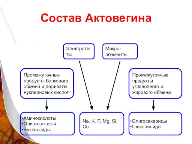 Состав Актовегина Промежуточные продукты углеводного и жирового обмена Электролиты Микро- элементы