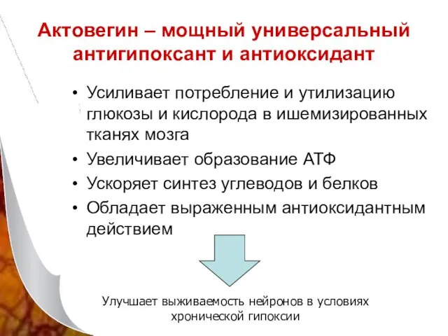 Актовегин – мощный универсальный антигипоксант и антиоксидант Усиливает потребление и утилизацию