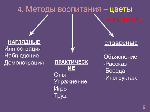 4. Методы воспитания – цветы (ежевика) 6 НАГЛЯДНЫЕ Иллюстрация Наблюдение Демонстрация